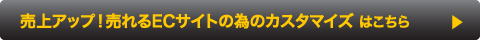 売上アップ!売れるECサイトの為の魅力的な機能カスタマイズ 売上アップ!売れるECサイトの為の魅力的な機能カスタマイズ